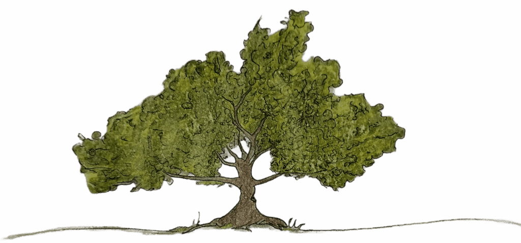Illustration eines Baumes